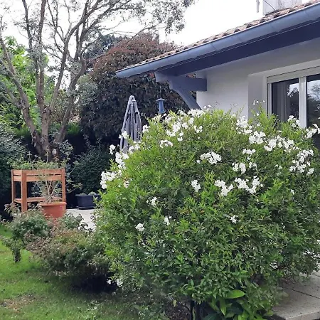 Villa De Plain Pied Et Studio Climatises , Au Calme , 6 Personnes Maximum Pour Le Meme Groupe, A 7Mn Du Golf Et De La Plage