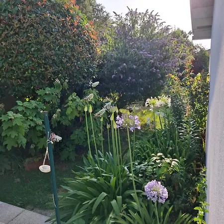 Villa De Plain Pied Et Studio Climatises , Au Calme , 6 Personnes Maximum Pour Le Meme Groupe, A 7Mn Du Golf Et De La Plage